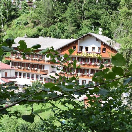Hotel Alpenrose Alleghe Kültér fotó